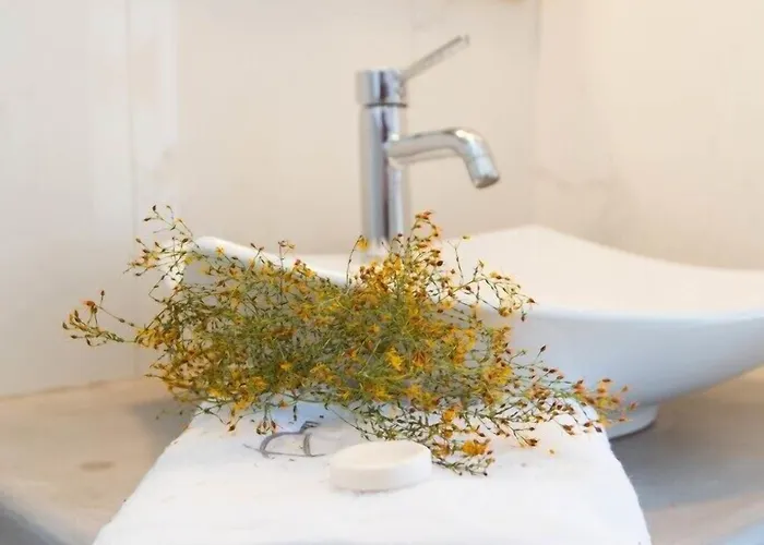 Ampelos 아파트호텔